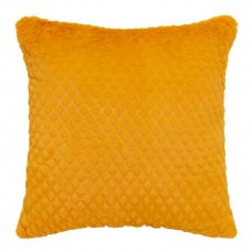 Azariah Plush Cushion