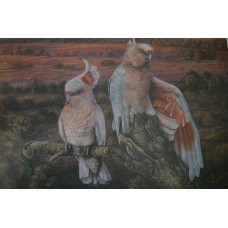 In The Heart Of Australia by Judy Scotchford - Limited Edition