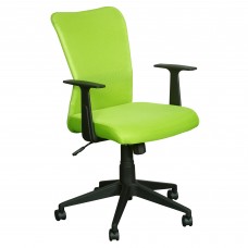 Ashley Mesh Chair - Lime Green