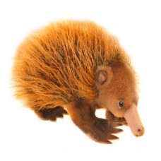 Harry the Echidna - A Bocchetta Plush Toy