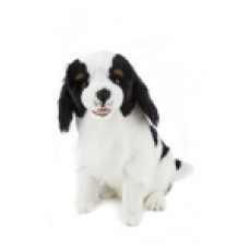Chester the King Charles - a Bocchetta Plush Toy Dog