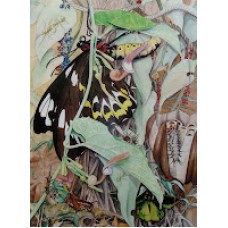 Birdwing Butterfly by Kay Breeden Williams - Limited Edition Print