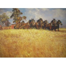 Harvesting The Wheat By Darcy Doyle - Limited Edition Print