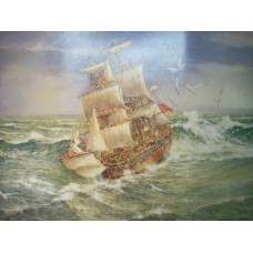 H.M.S Endeavour By Darcy Doyle - Limited Edition Print