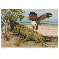 On the Beach by Philip Farley - Limited Edition Print