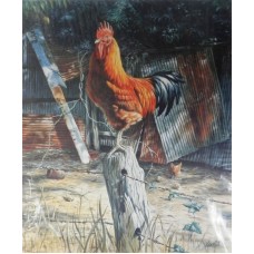 Rustic Reds by Greg Postle - Limited Edition Print